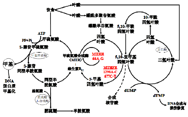 首页 - 欧博ABG集团官方网站