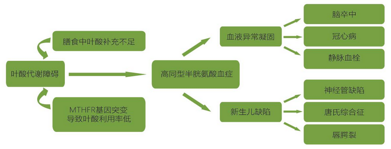 首页 - 欧博ABG集团官方网站