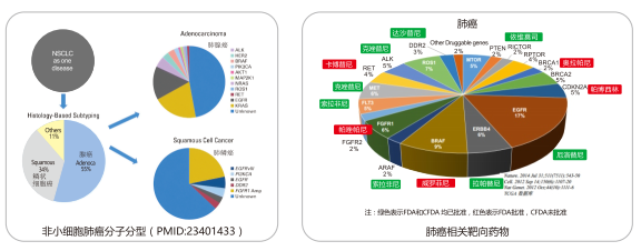 首页 - 欧博ABG集团官方网站